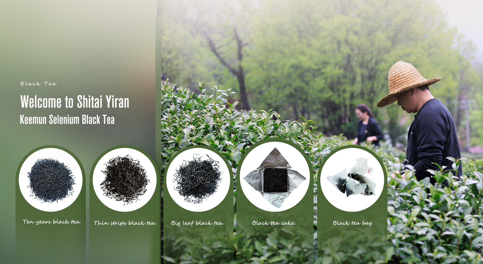 https://www.ebblacktea.com/uploads/banner-27.jpg